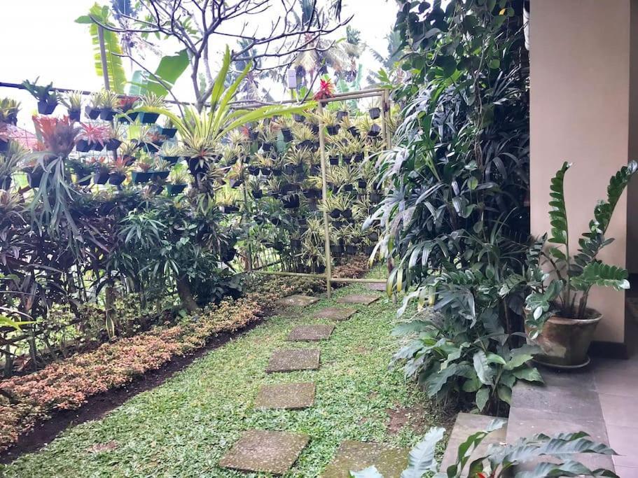 Rumah Taman Ubud (Bali)