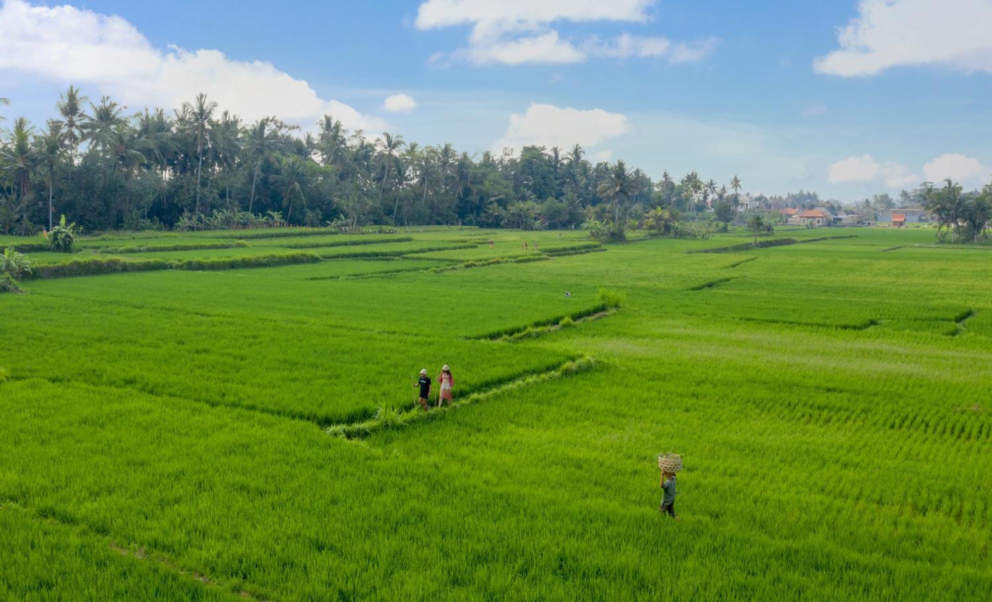 Thewakanda A Pramana Experience Resort 4*