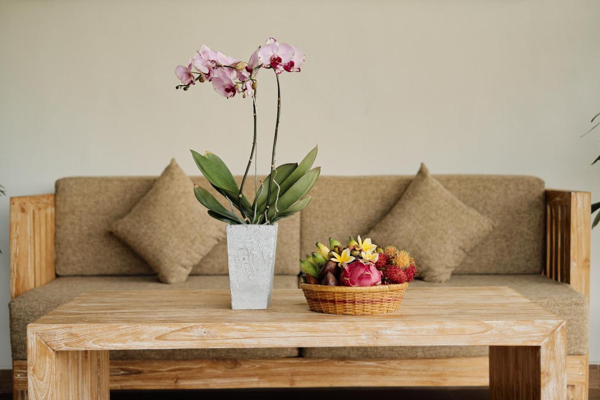 Gynandha 4* Ubud (Bali)
