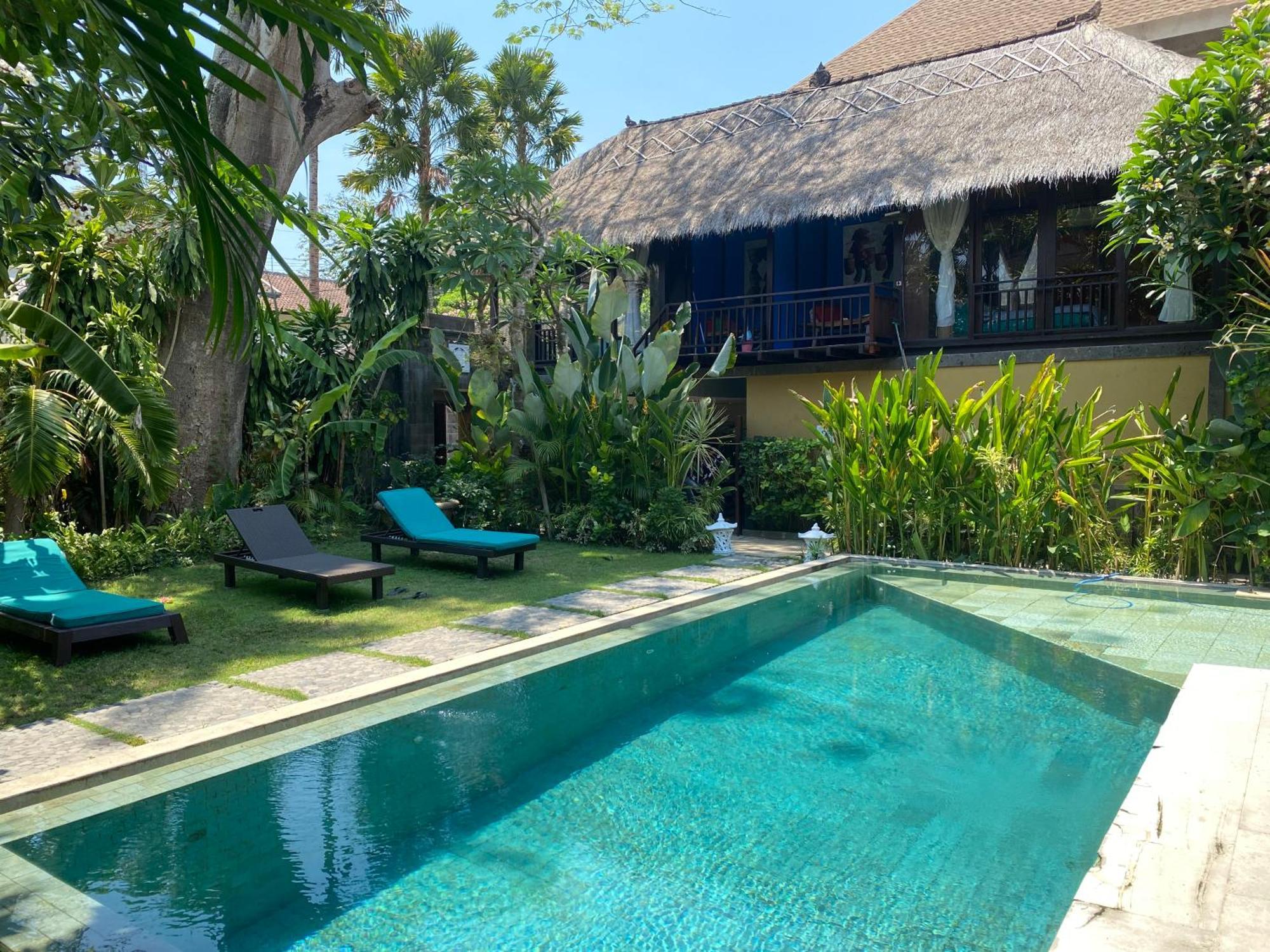 Guest house Little Tree House