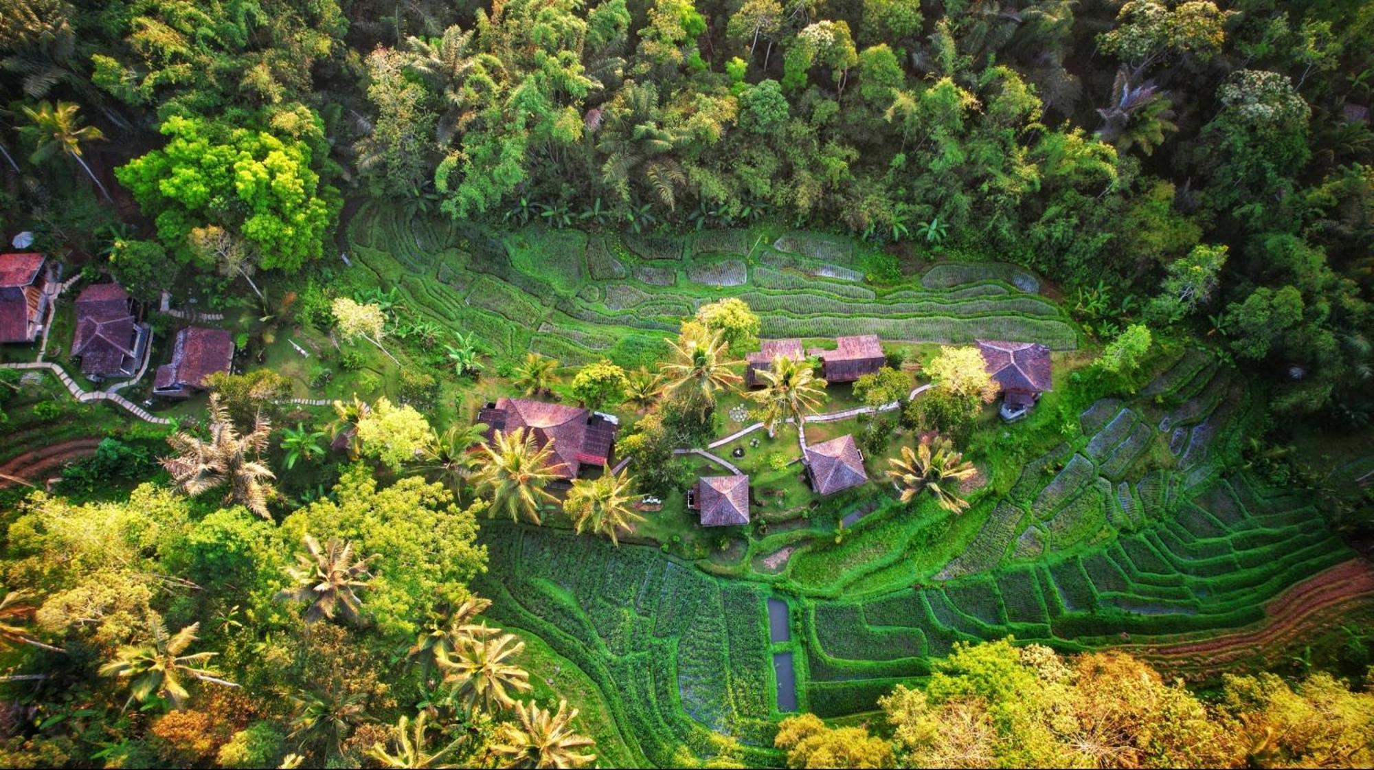 Oemah Tepi Sawah Lodge