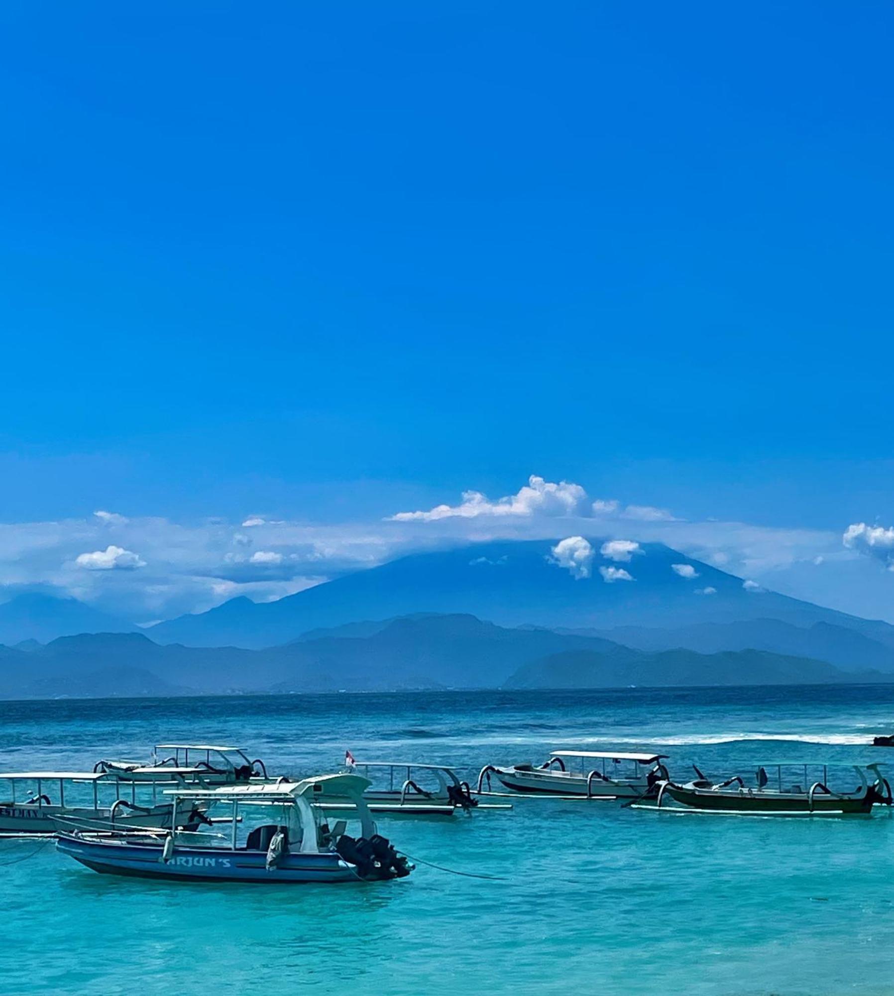 Island Garden Huts Lembongan 3*