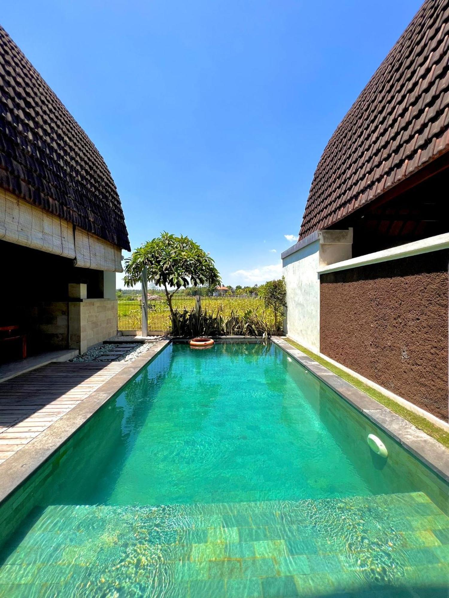 Bhumi Lovina & Villa *
