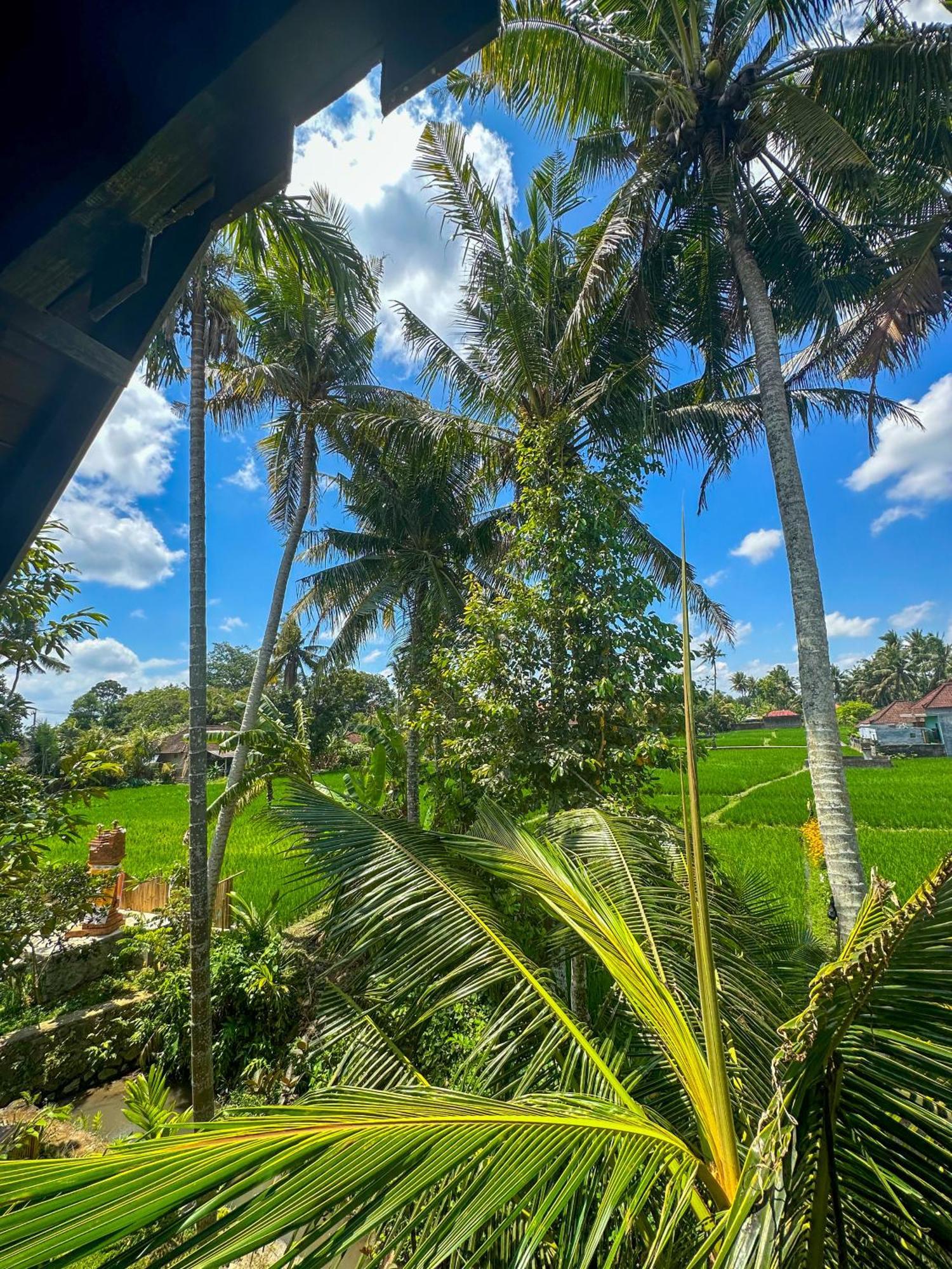 Nunu Bali Eco Friendly Retreat
