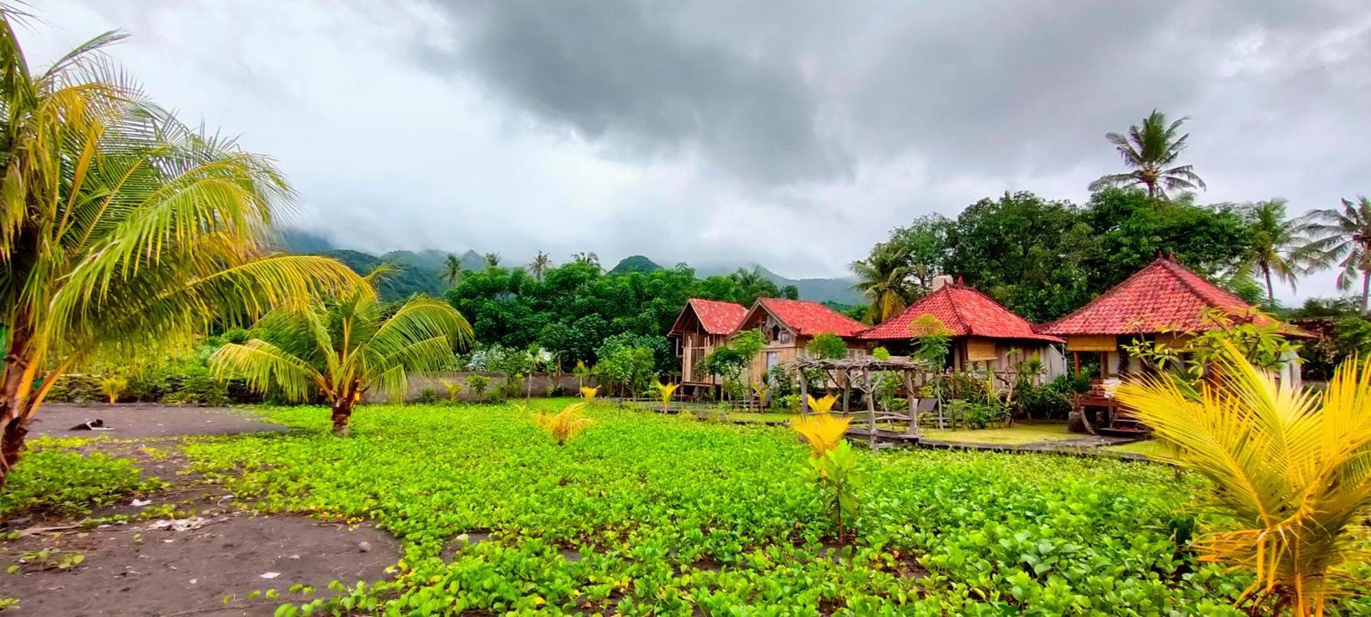 Guest house Yogi *