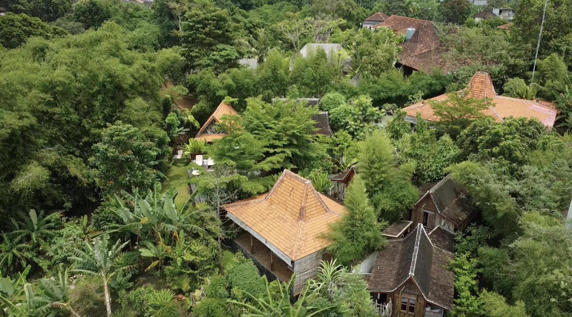 Ubuntu Bali Eco Yoga Retreat - Bed & Breakfast