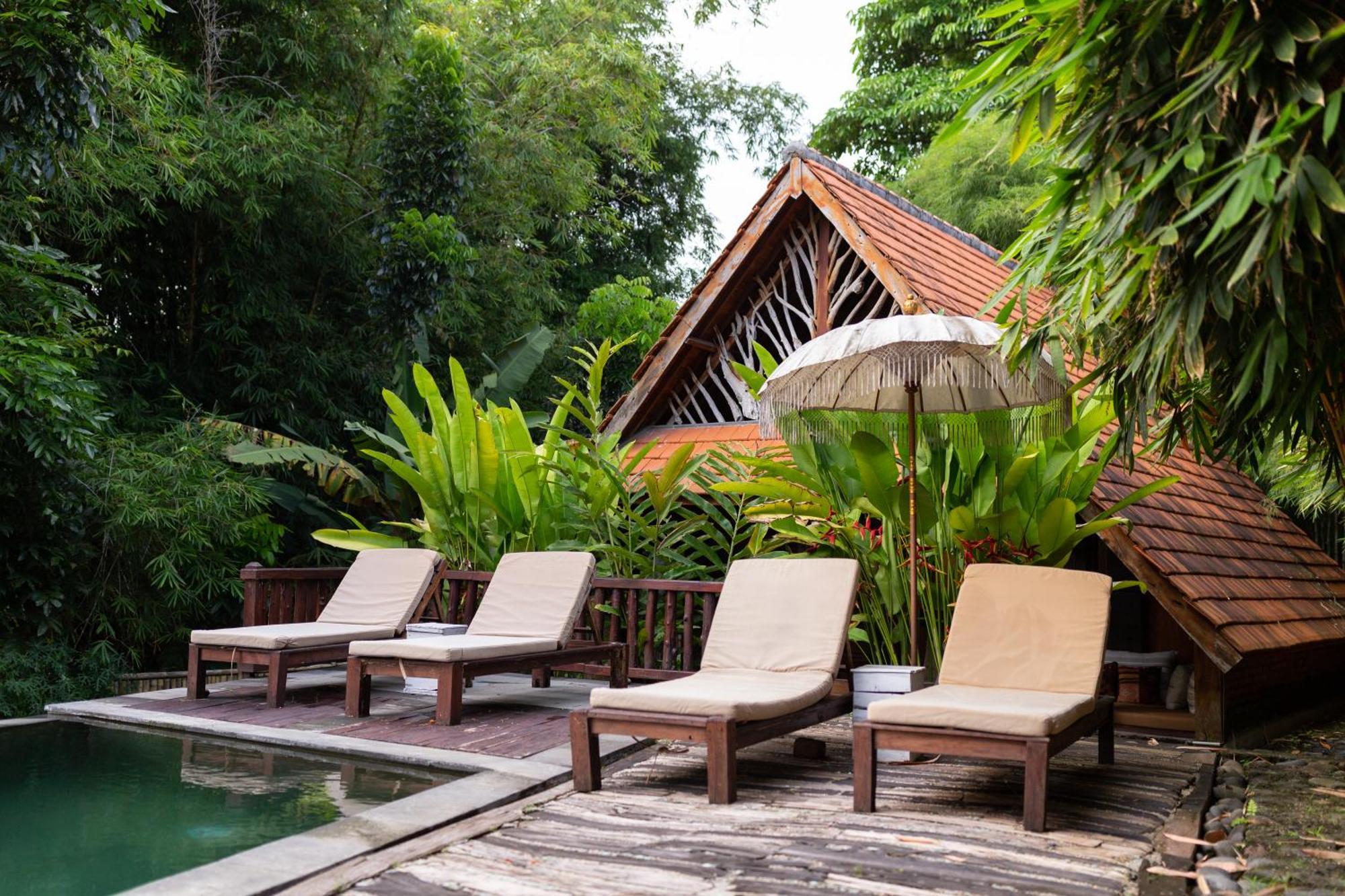 Bed & Breakfast Ubuntu Bali Eco Yoga Retreat -
