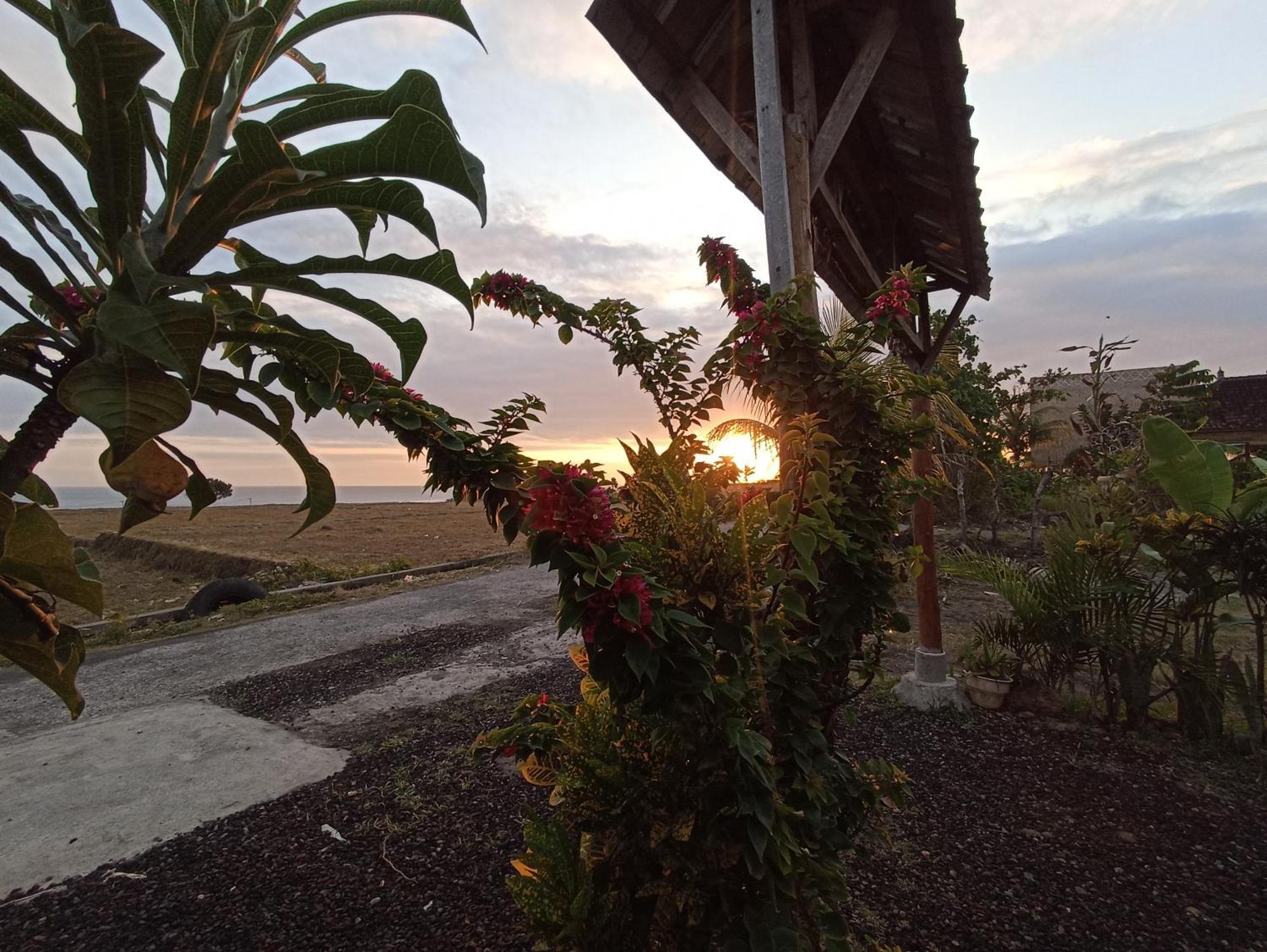 Homestay Ayolah Surf House &surf Camp Jembrana (Bali)