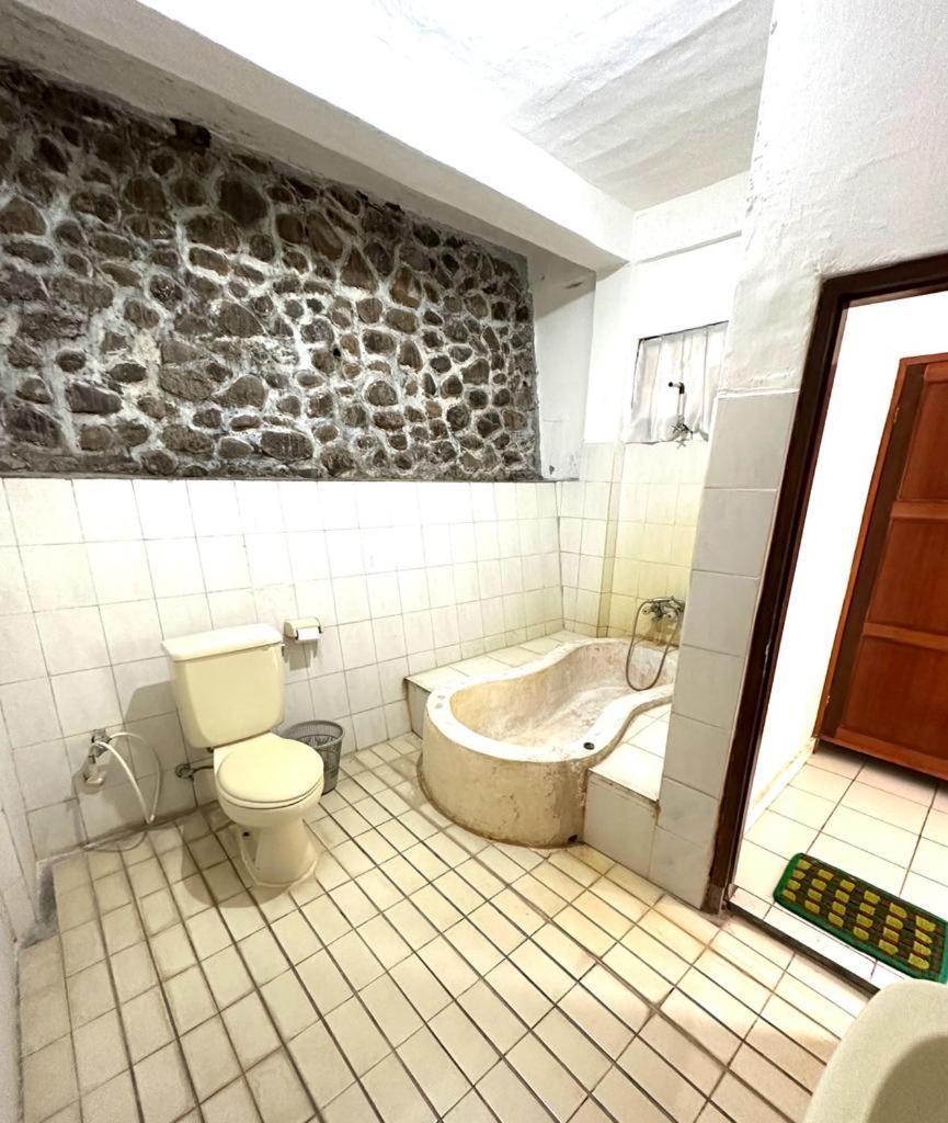 Guest house Wisata Grya Sari Banjar (Bali)