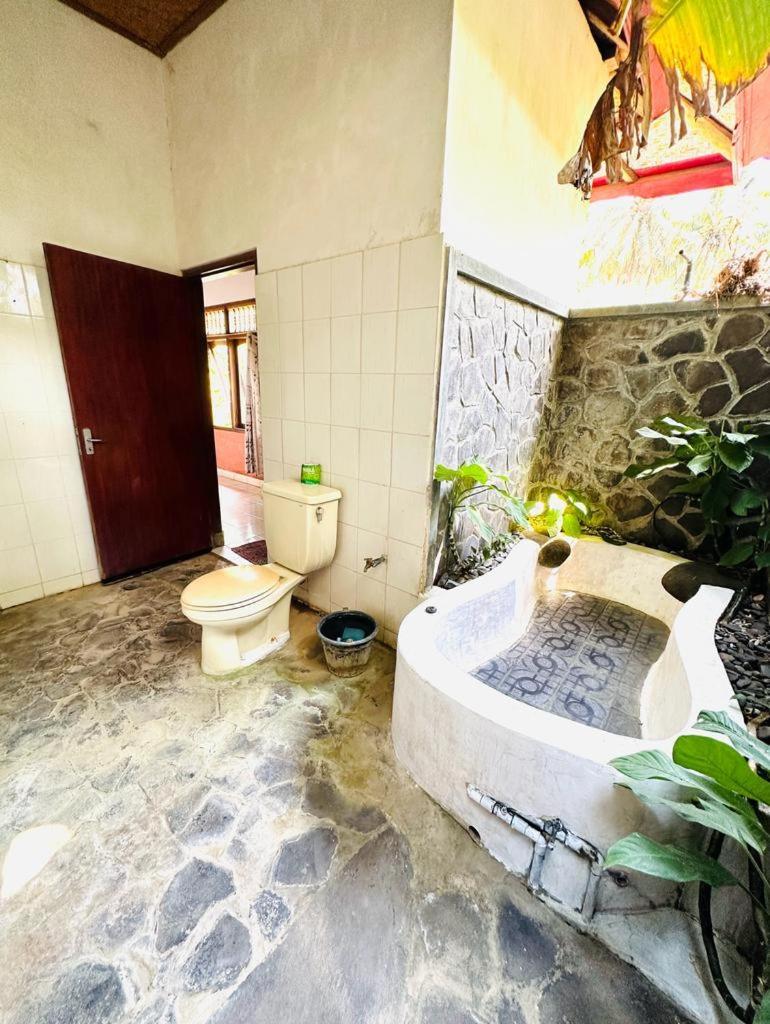 Wisata Grya Sari 2* Banjar (Bali)