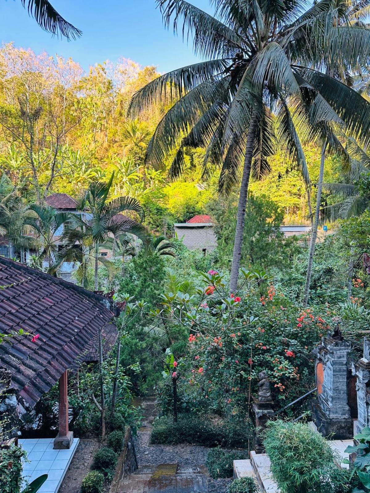 Guest house Wisata Grya Sari Banjar (Bali)