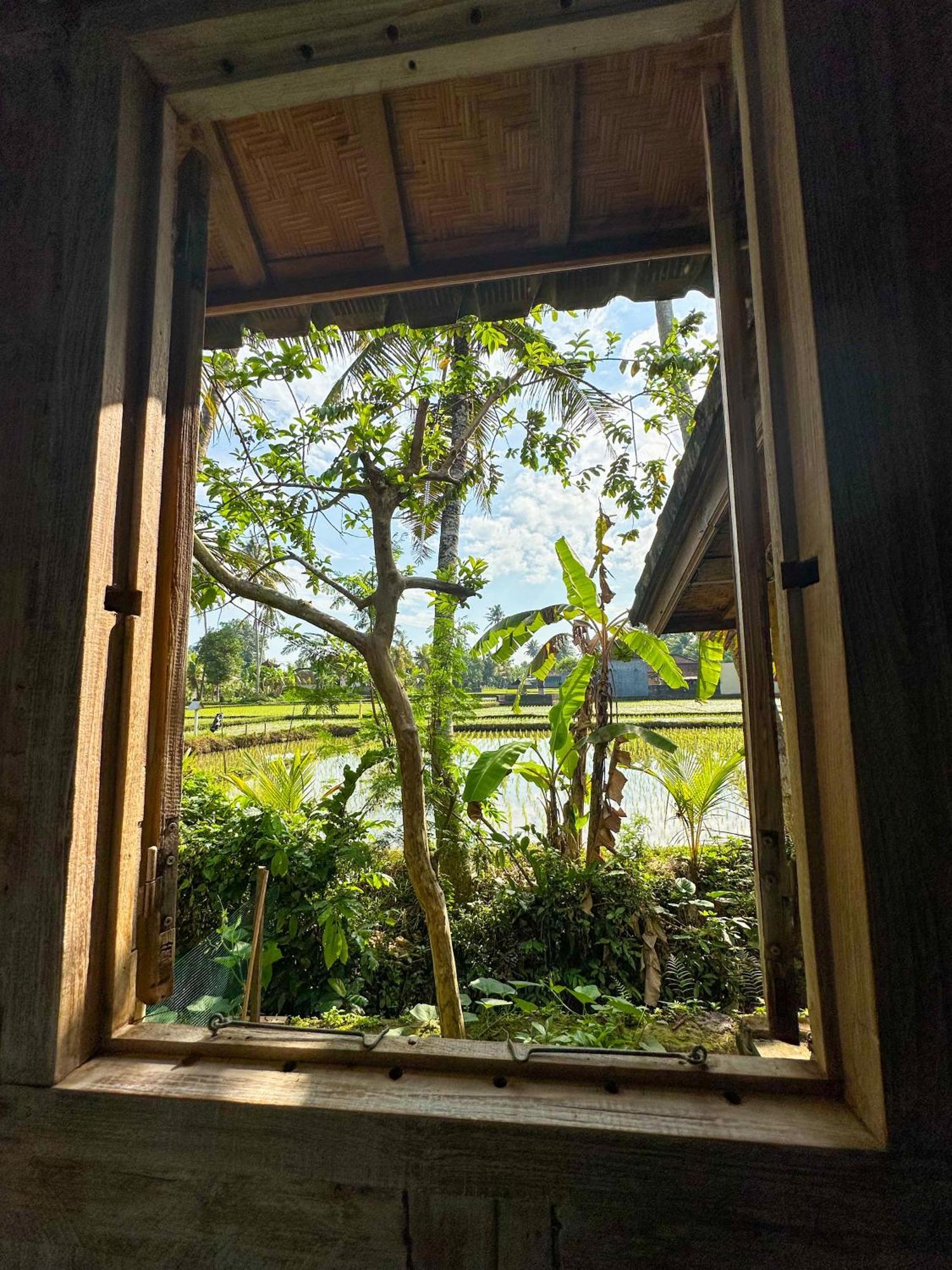 Nunu Bali Eco Friendly Retreat Hotel