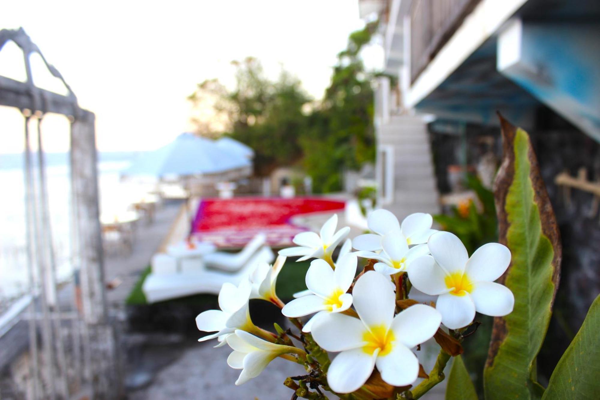 Hotel Ocean Blue Batununggul