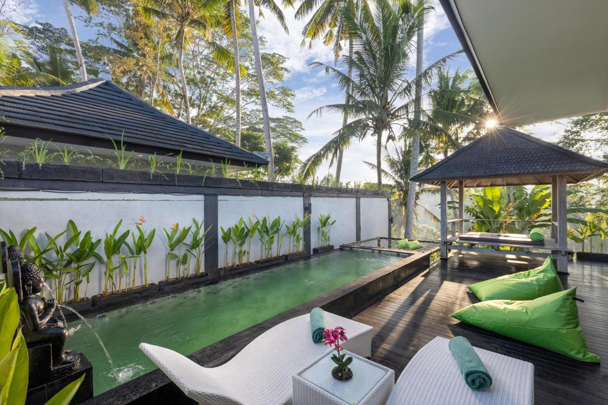 Capung Asri Eco Luxury With Private Pool Bed & Breakfast *