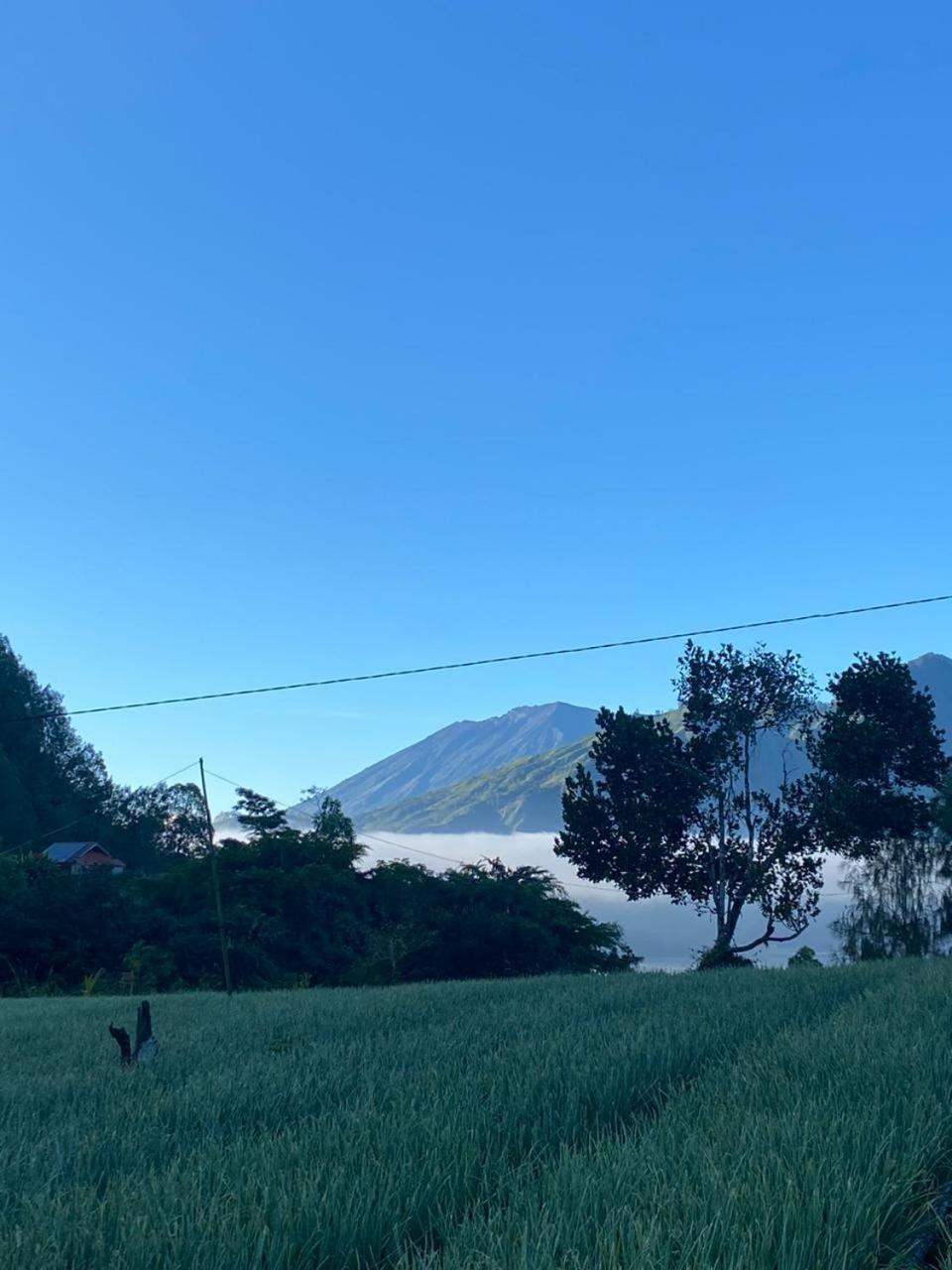 Bali Volcano * Kubupenlokan