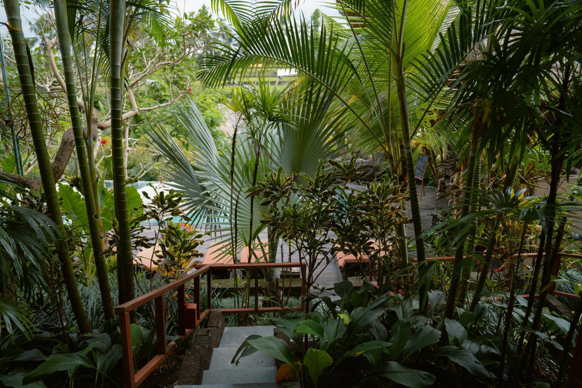 Resort The Sun Of Granary And Ubud (Bali)