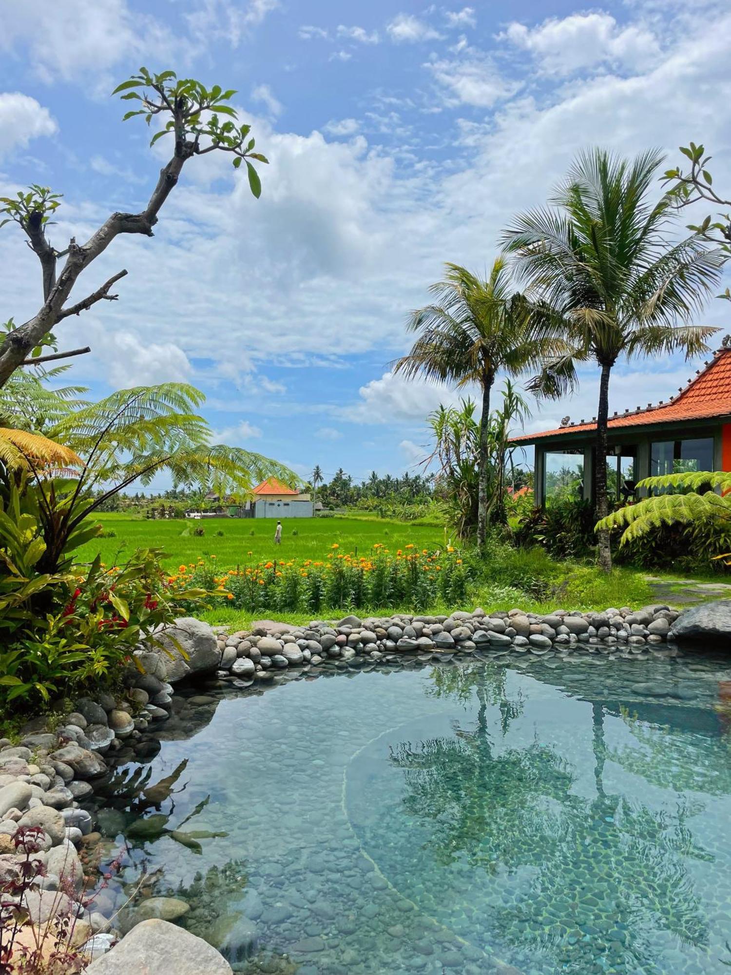 Arya Arkananta Resort&spa Ubud (Bali)