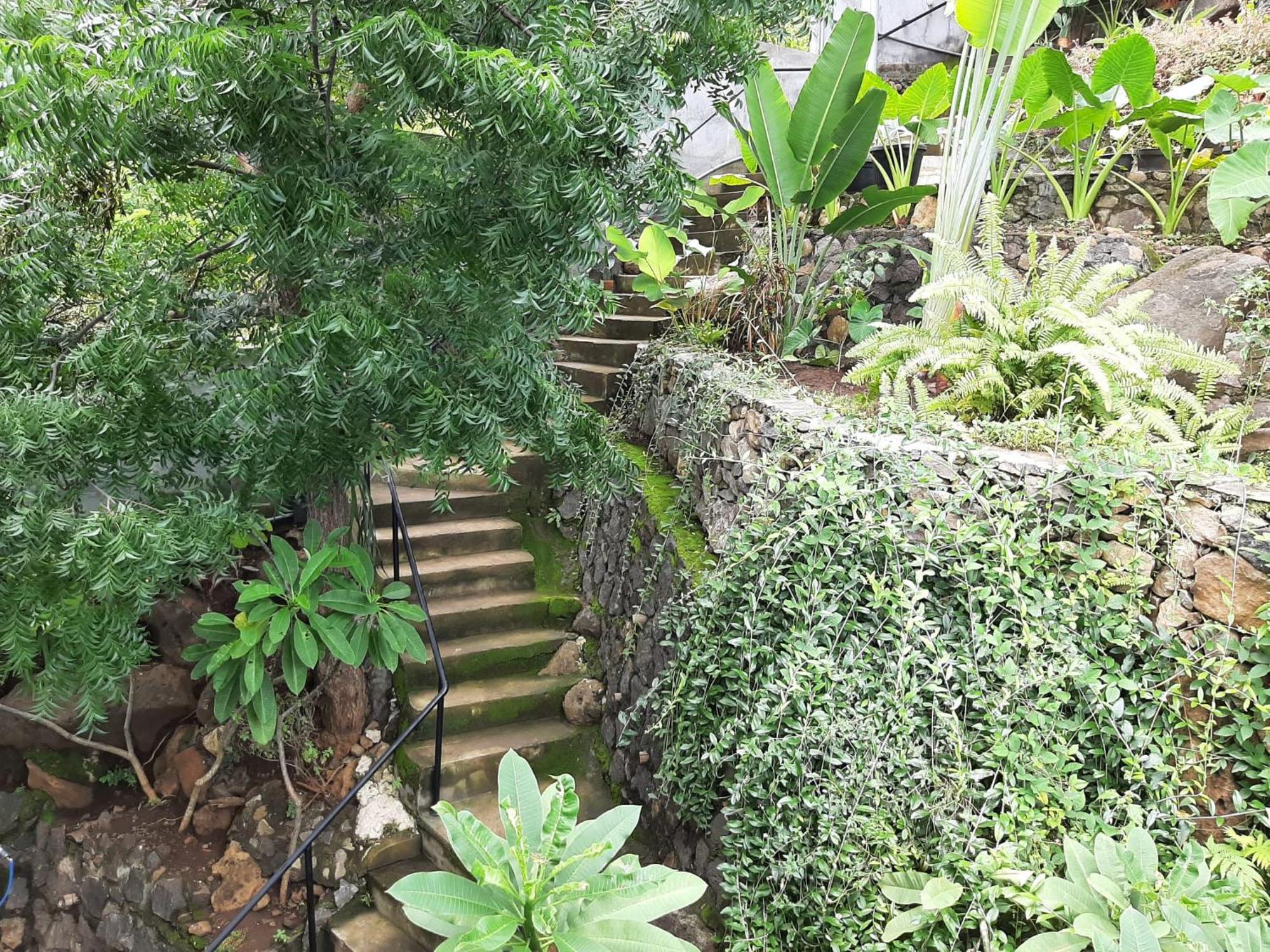 Villa Liri - Ocean, Hills, Valley View Lovina (Bali)