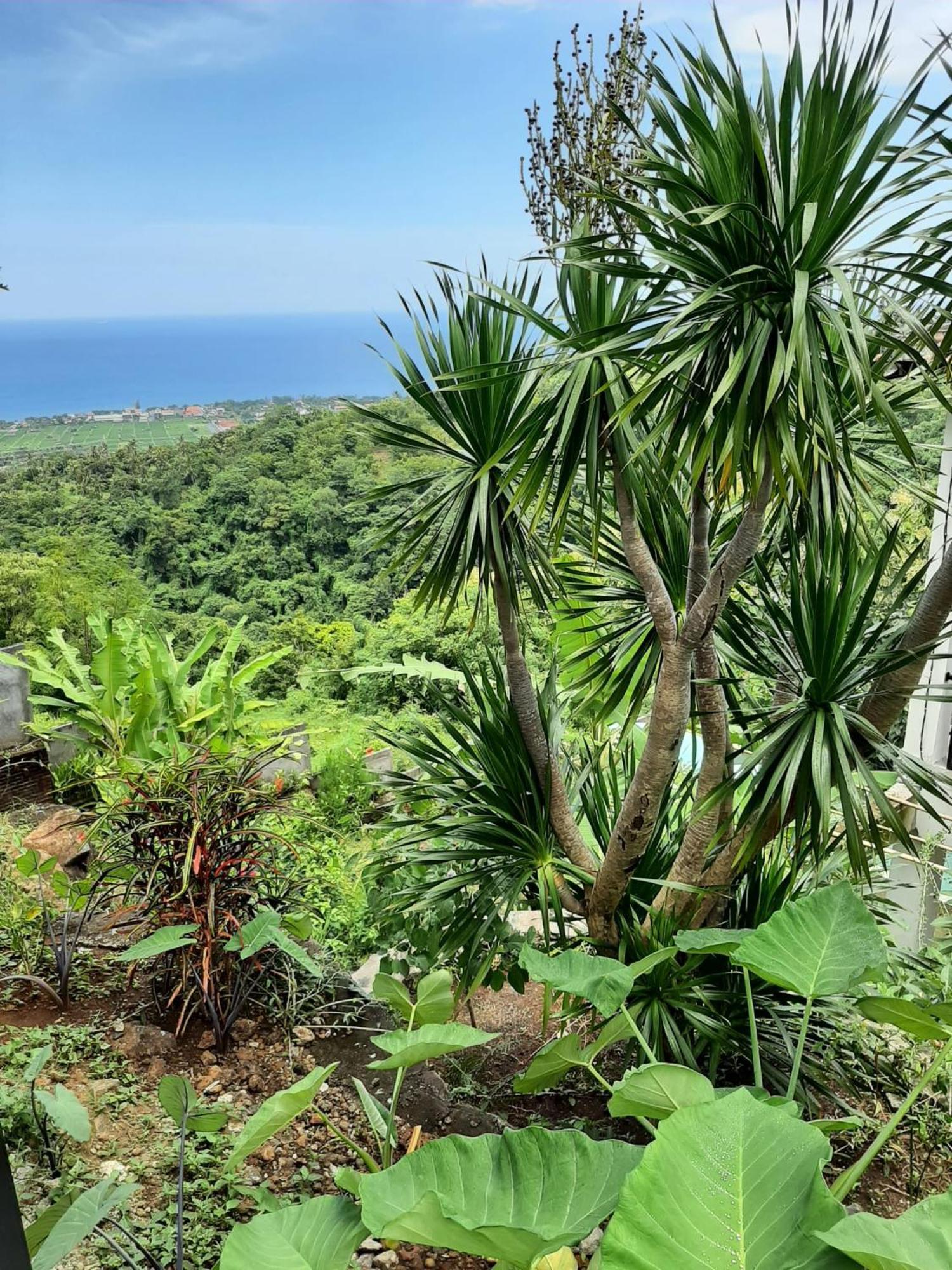 Liri - Ocean, Hills, Valley View *