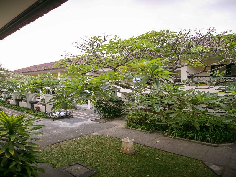 Paradiso 3*