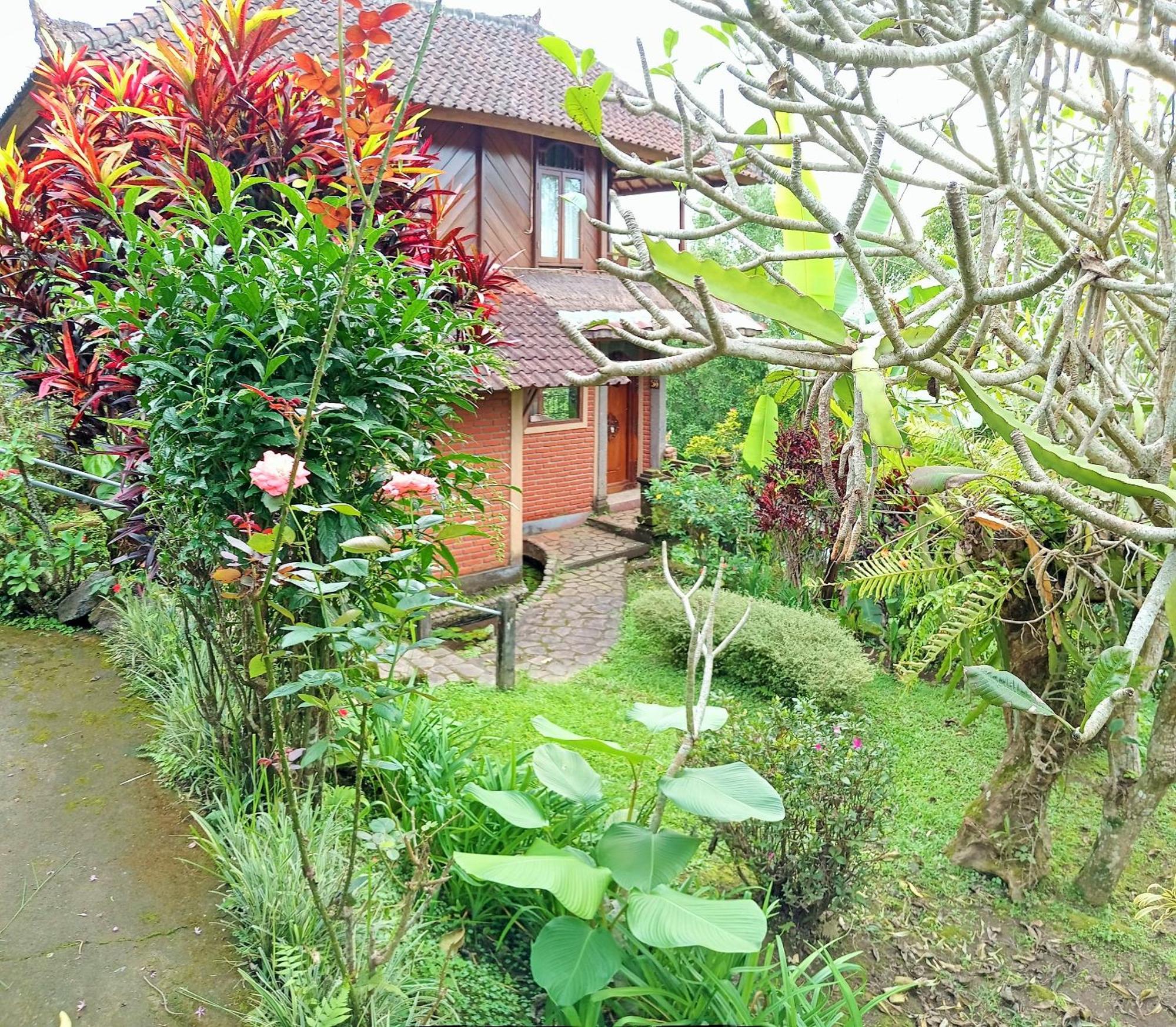 Holiday park Puri Lumbung Restaurant & Munduk (Bali)