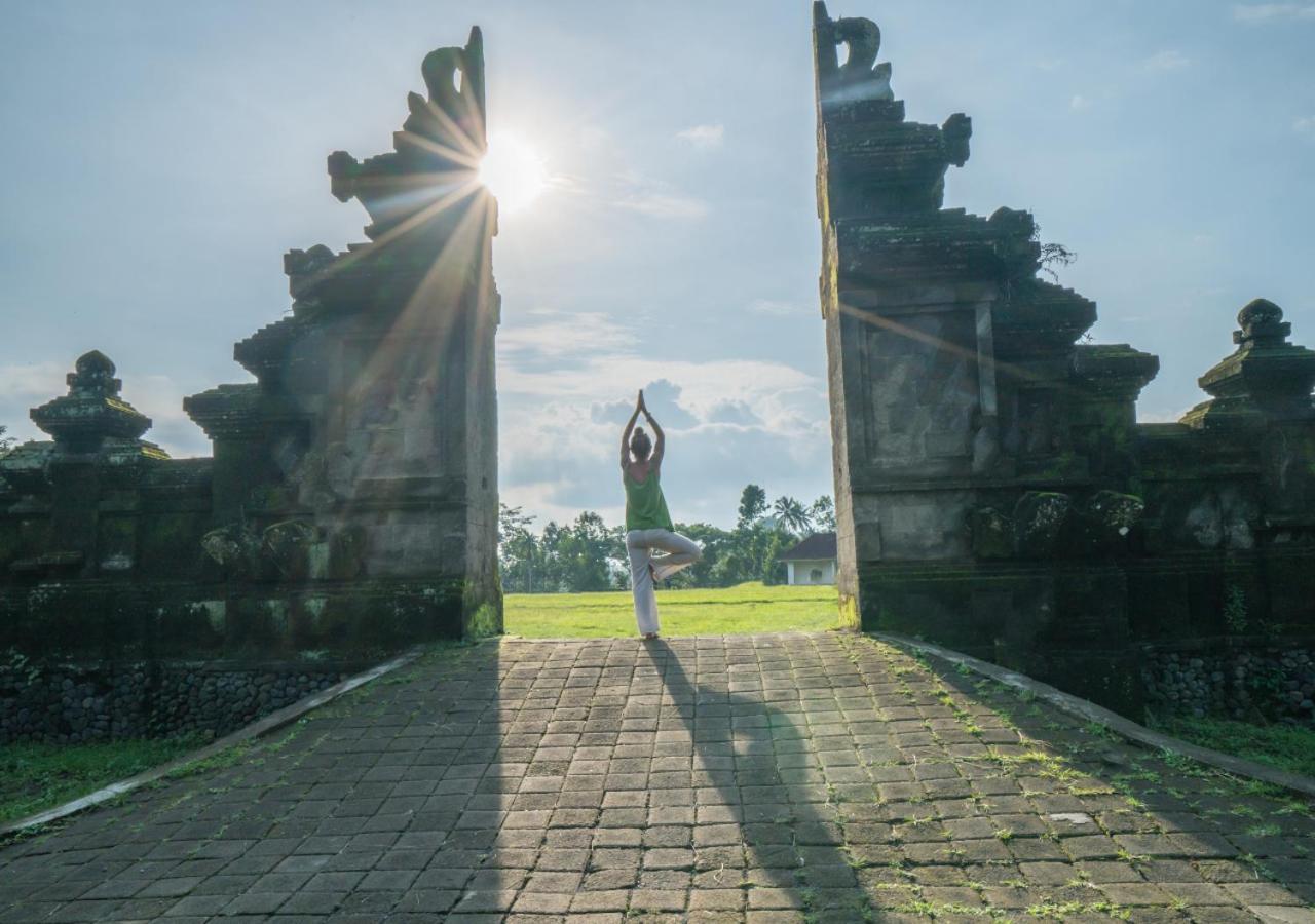 Capung Asri Eco Luxury With Private Pool Bed & Breakfast Bedahulu