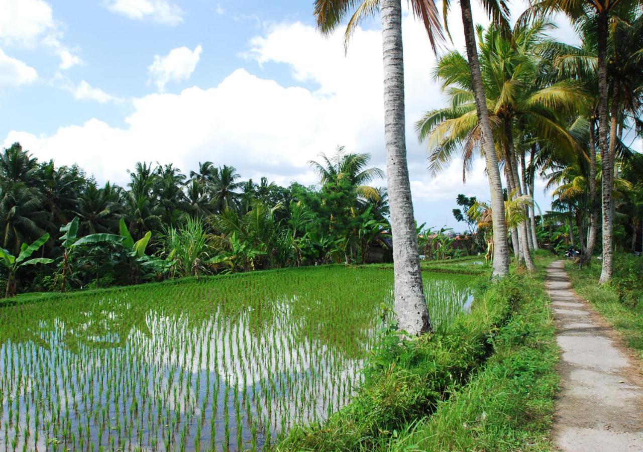 Capung Asri Eco Luxury With Private Pool * Bedahulu