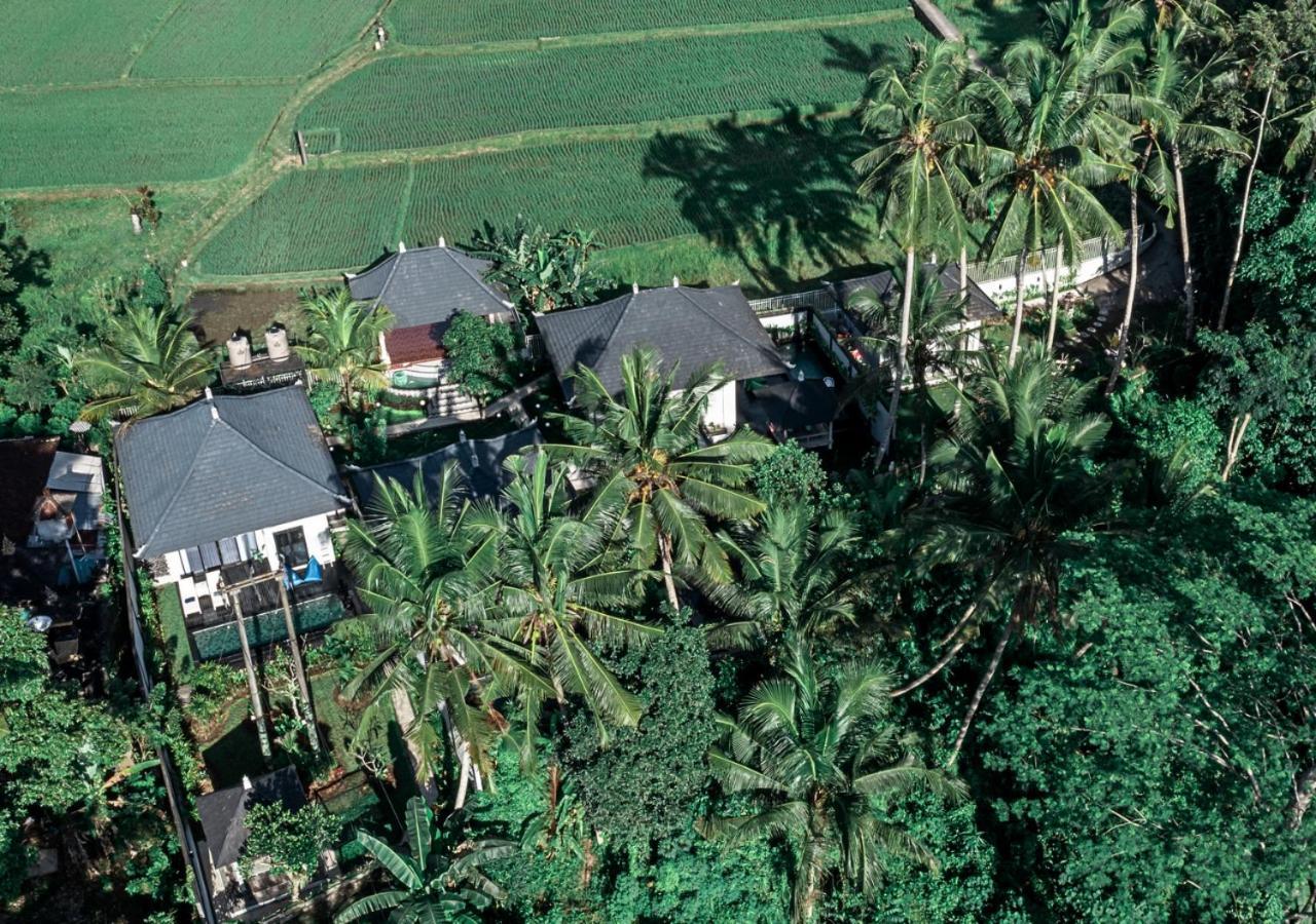 Bed & Breakfast Capung Asri Eco Luxury With Private Pool Bedahulu