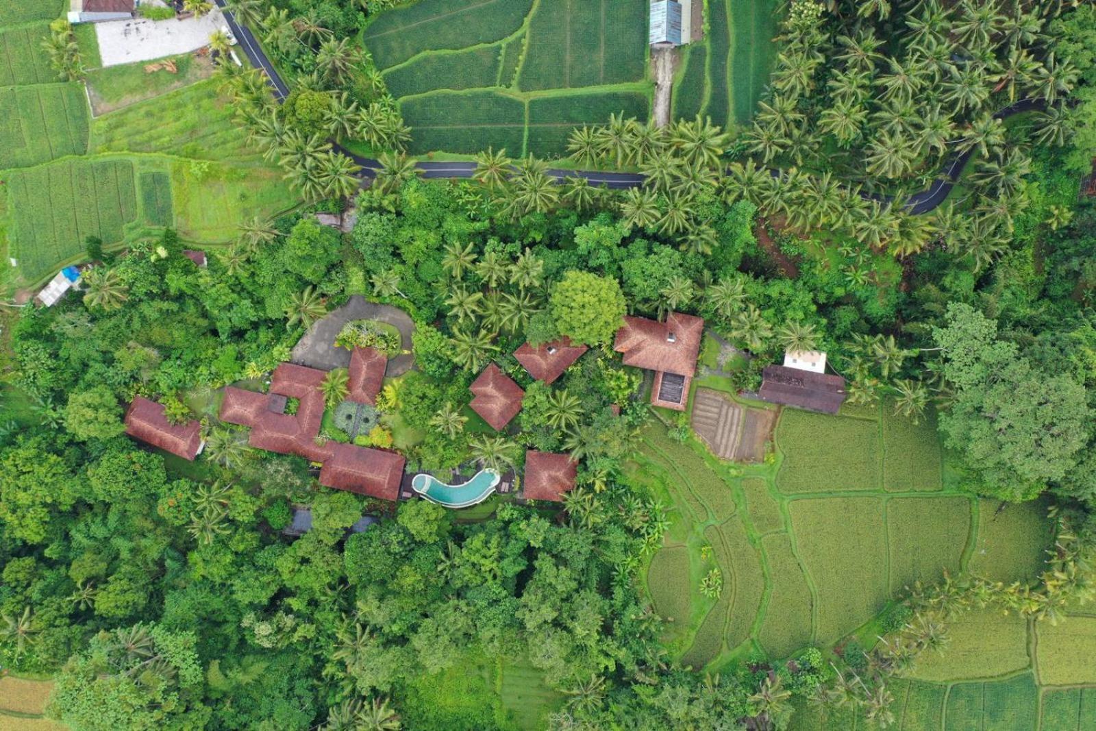 Beingsattvaa Luxury Resort