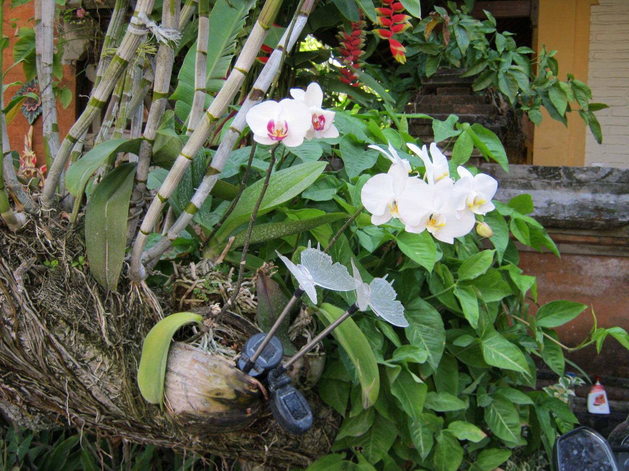 De Puspa Seminyak (Bali)