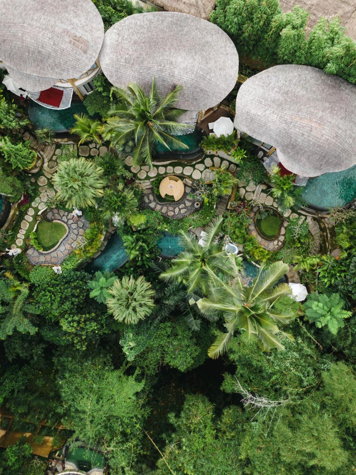 The Udaya And 4* Ubud (Bali)