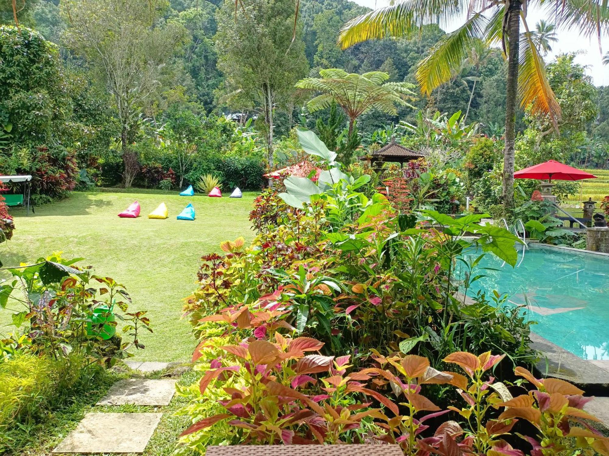 Bed & Breakfast Amartya Puri 2*