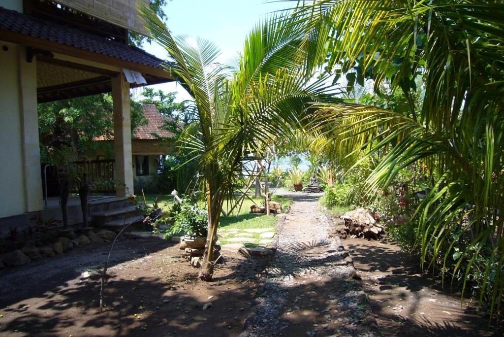 Guest house Jukung Bali Amed (Bali)
