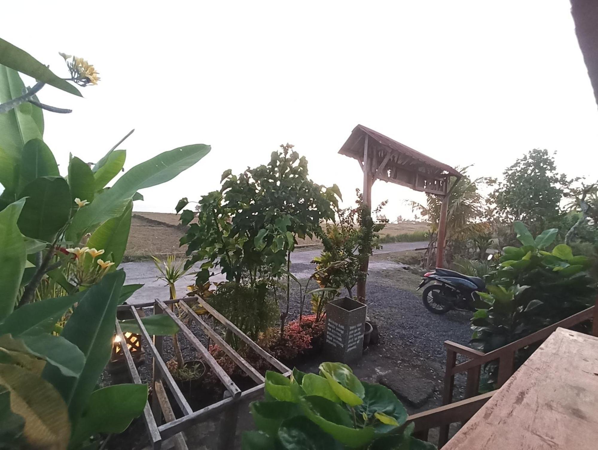 Ayolah Surf House &surf Camp Jembrana (Bali)