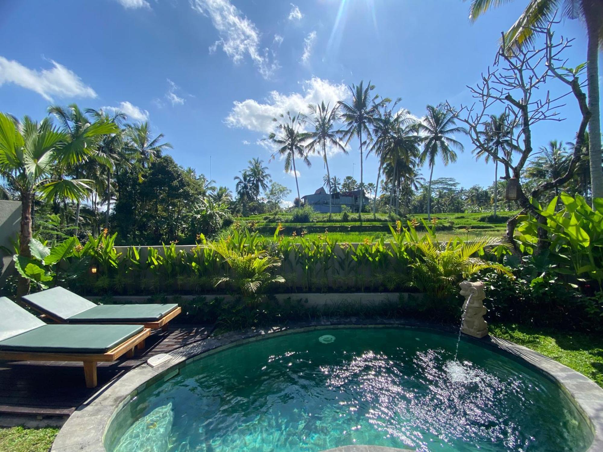 Arvanya Ubud Resort 4*