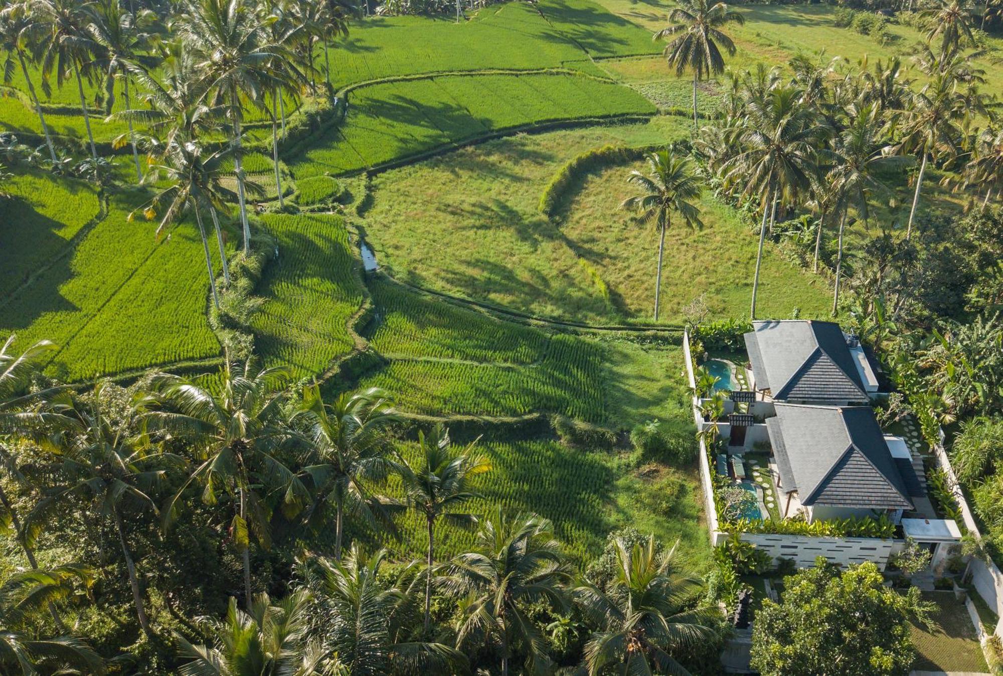 Arvanya Ubud Resort Tegallalang (Bali)