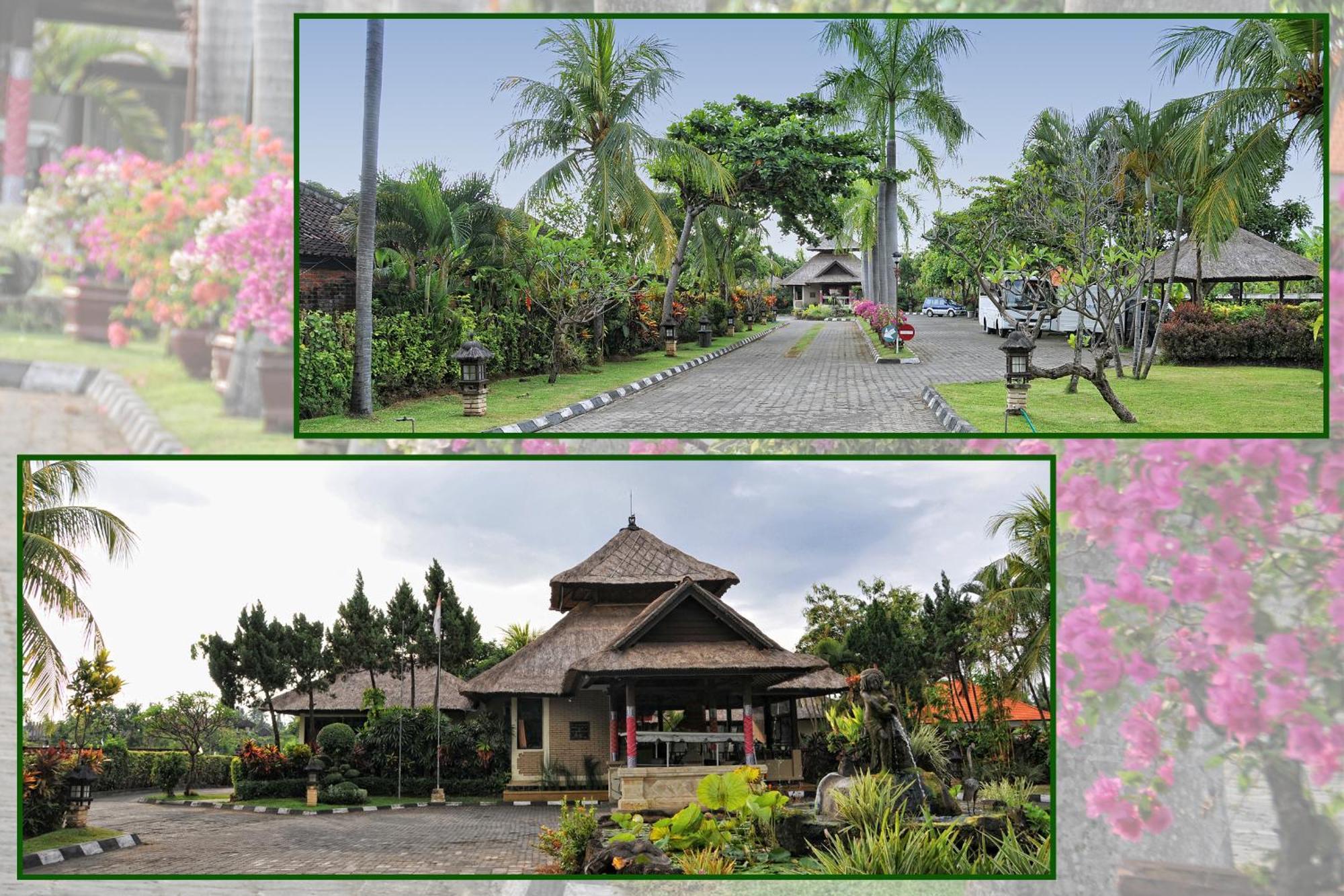 Aneka & 3* Lovina (Bali)