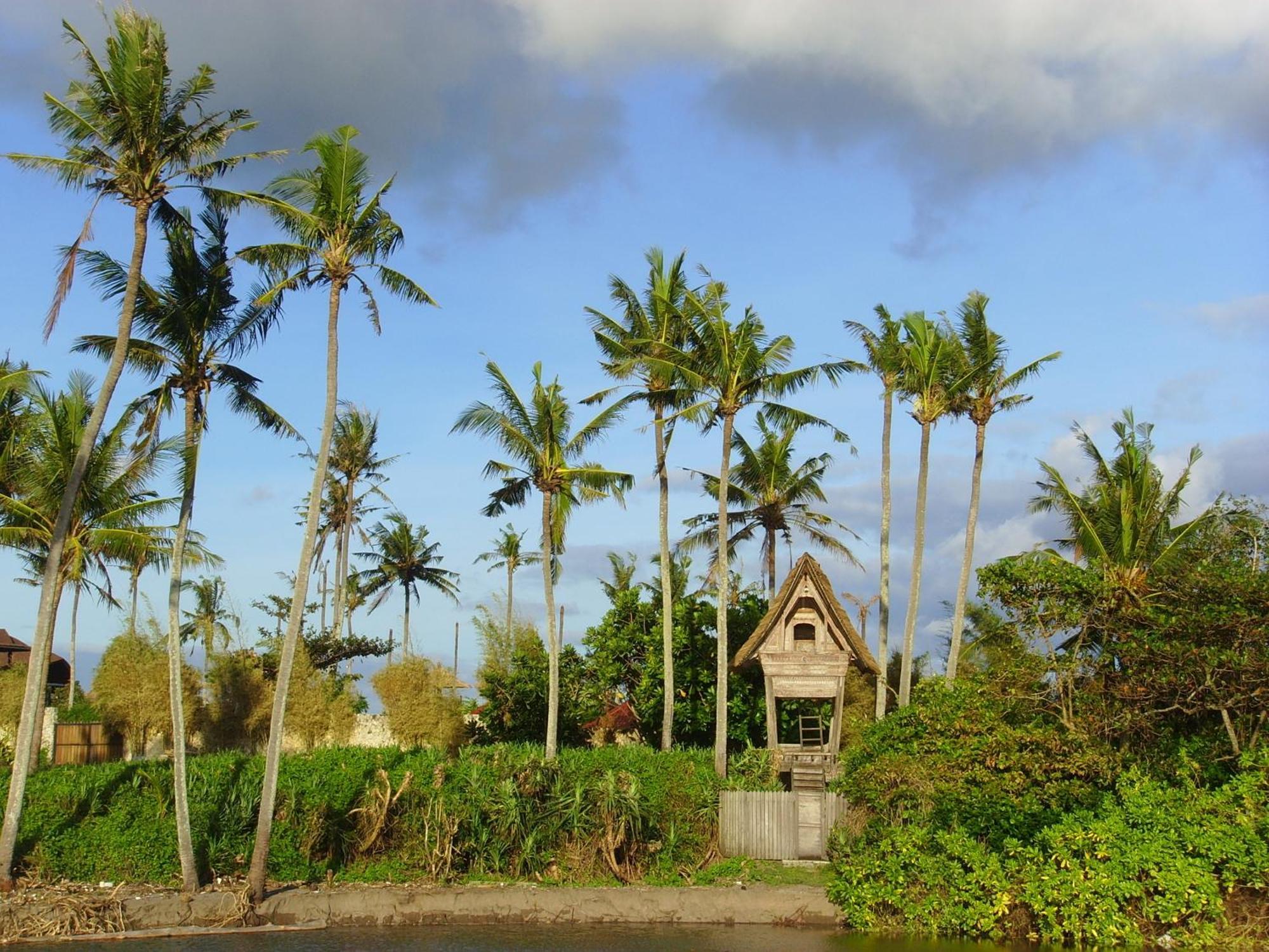 Jonsen 3* Canggu (Bali)