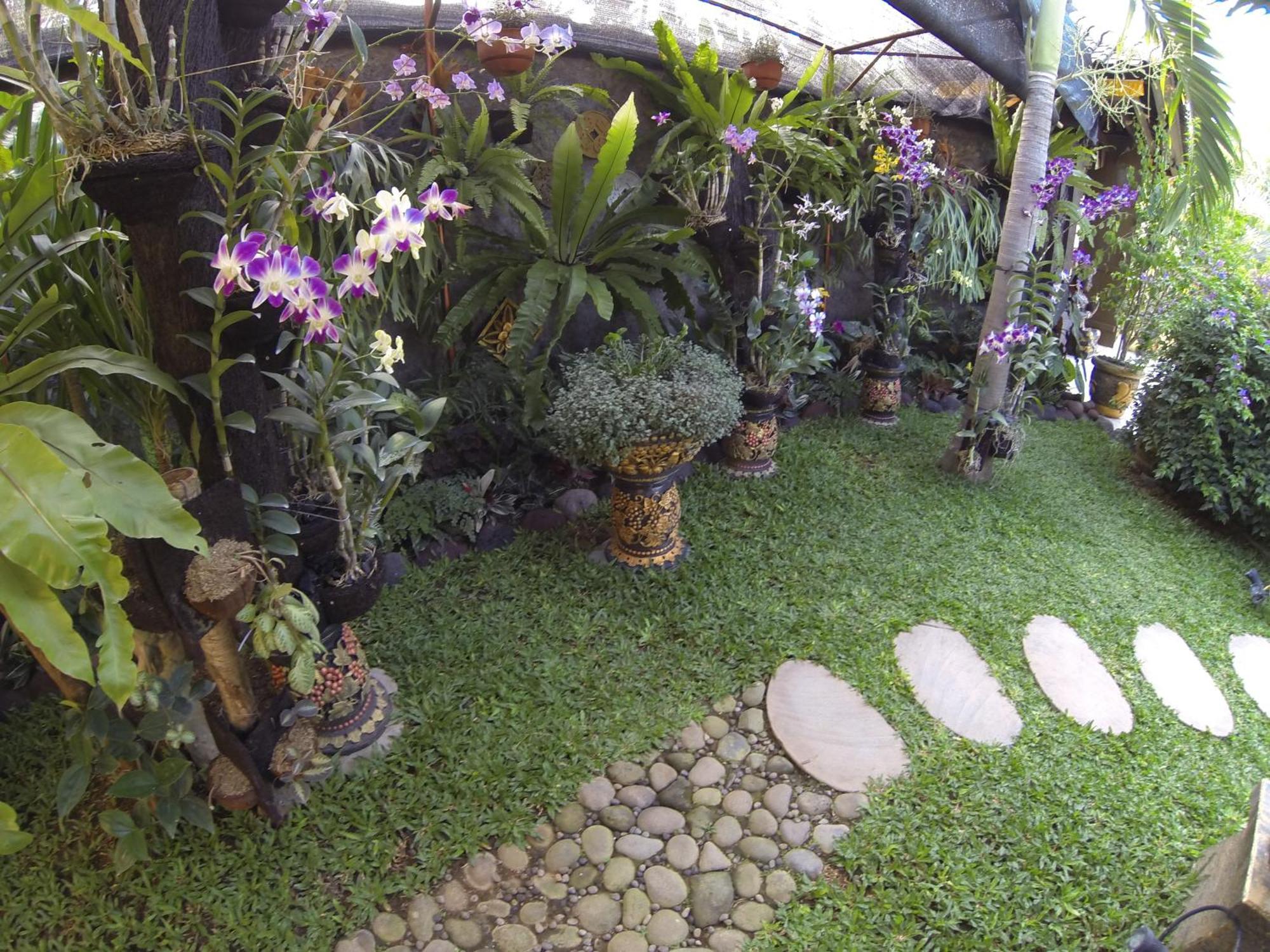 Gusmania * Candi Dasa (Bali)