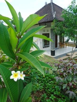 Bingin Family Guest house