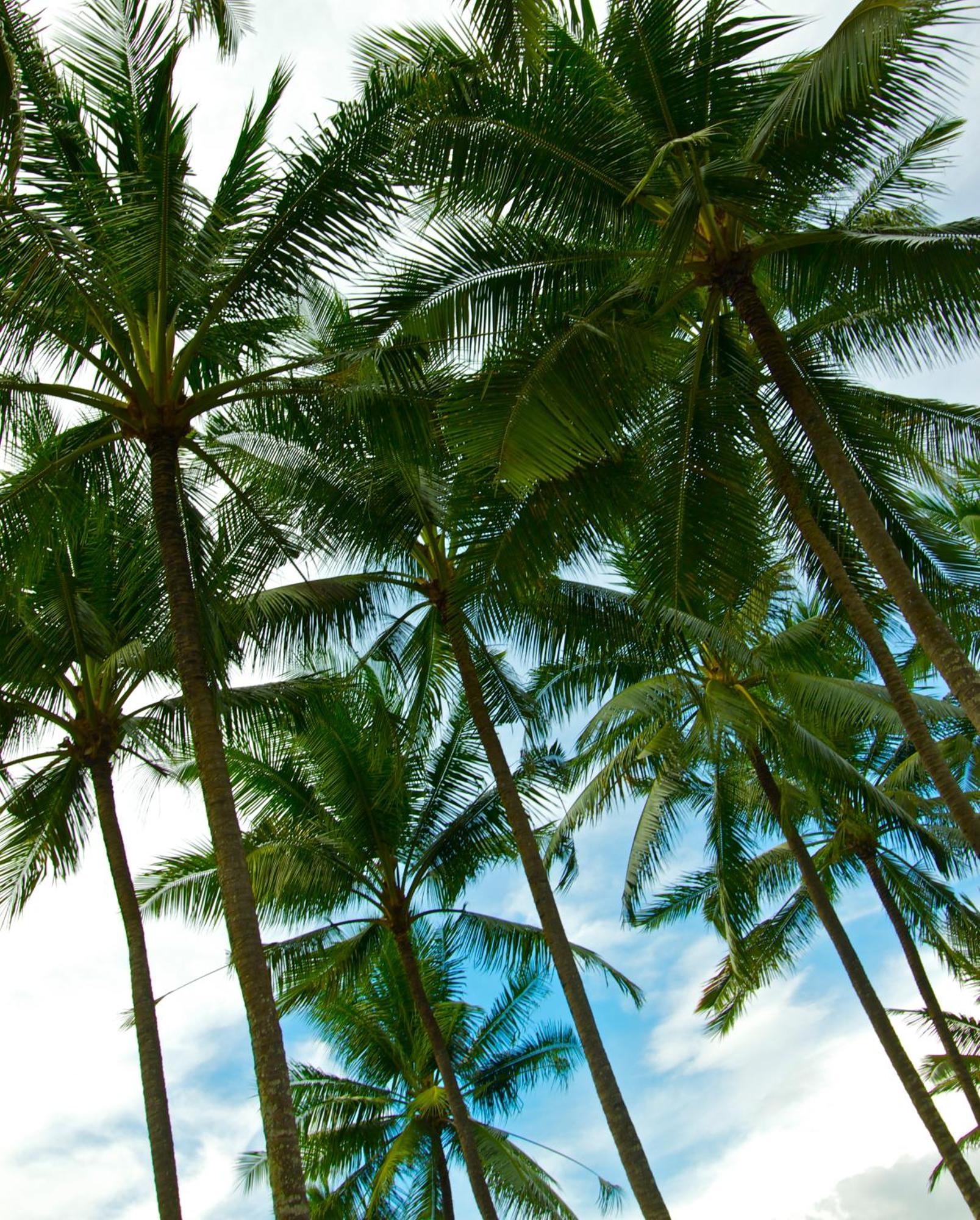 Holiday park Bayside