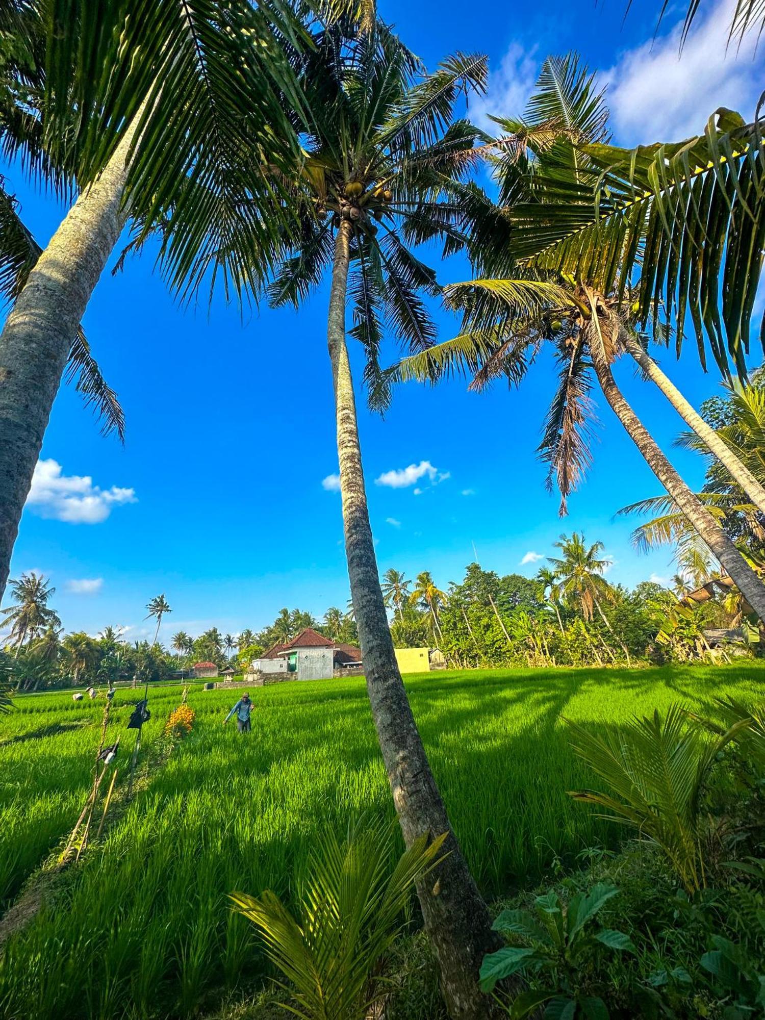 Nunu Bali Eco Friendly Retreat Hotel 4*