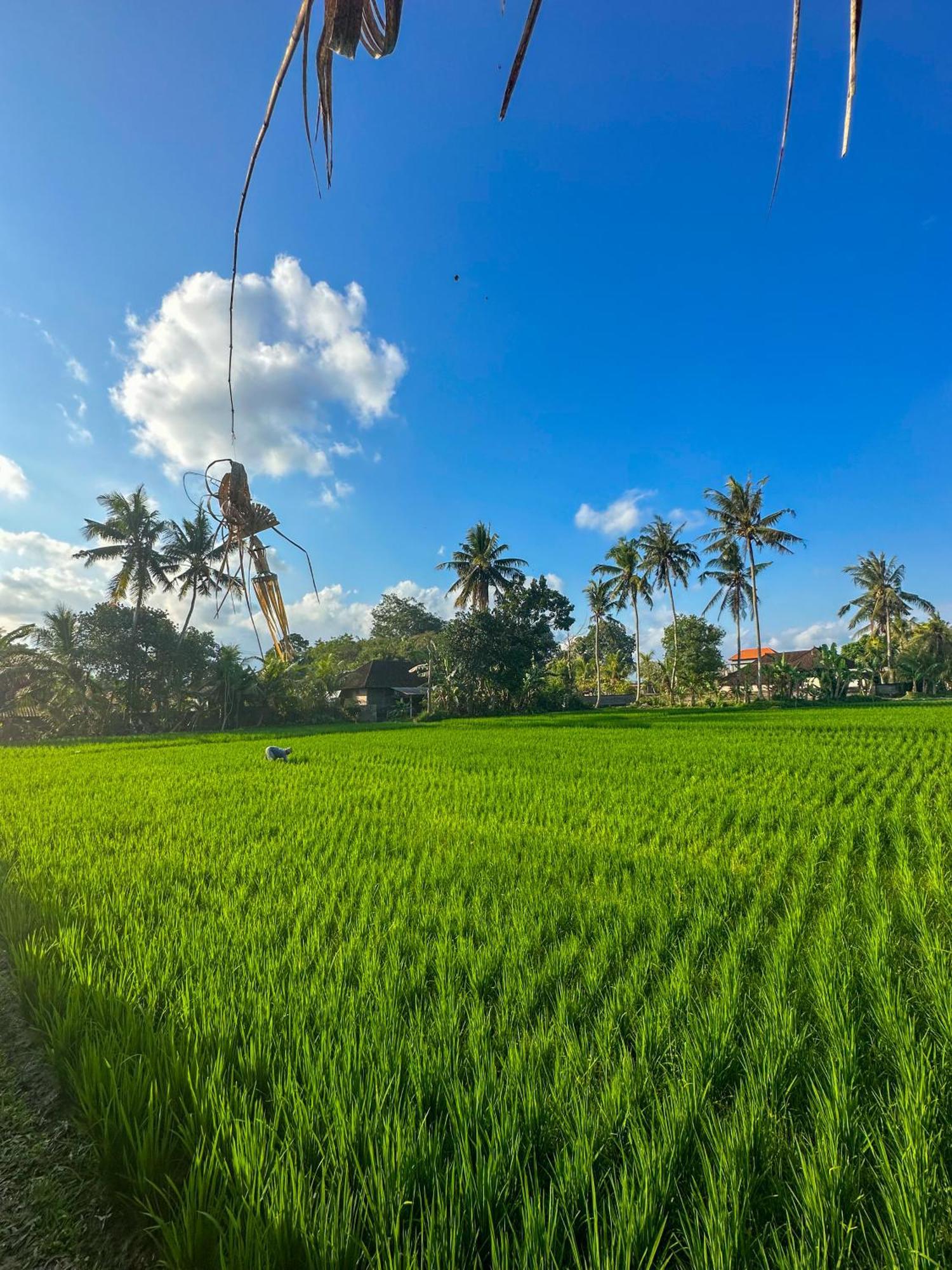Hotel Nunu Bali Eco Friendly Retreat Canggu (Bali)