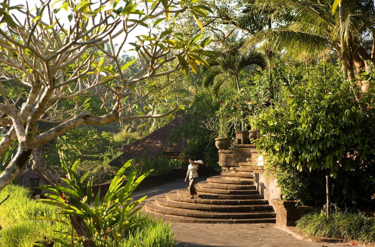 The Payogan And Ubud (Bali)