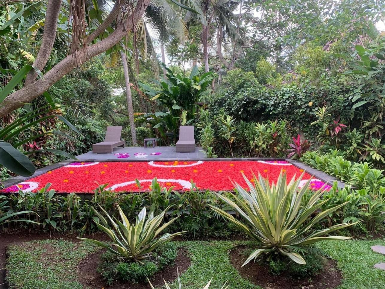 Mahesa Ubud (Bali)
