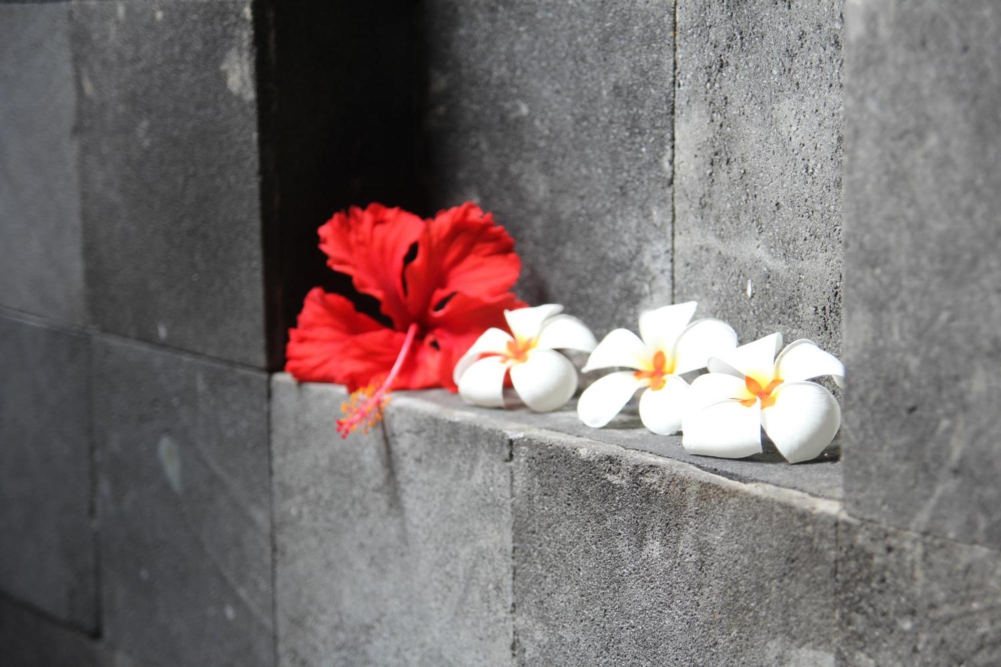 Taman liburan Bali Marina Villa's 4*