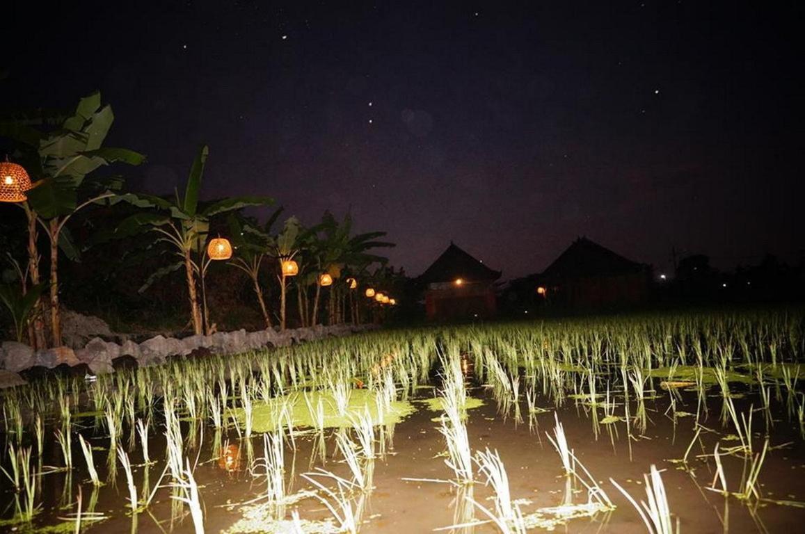 Surf Camp Keramas