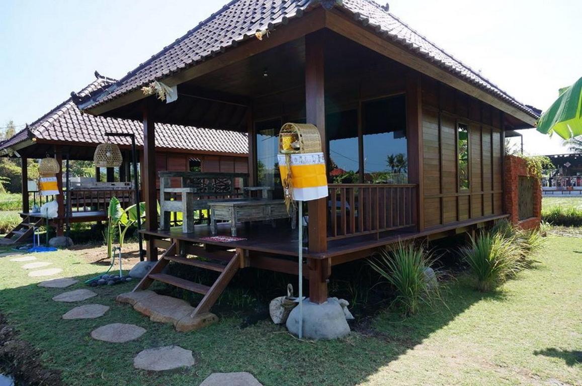 Surf Camp 2*