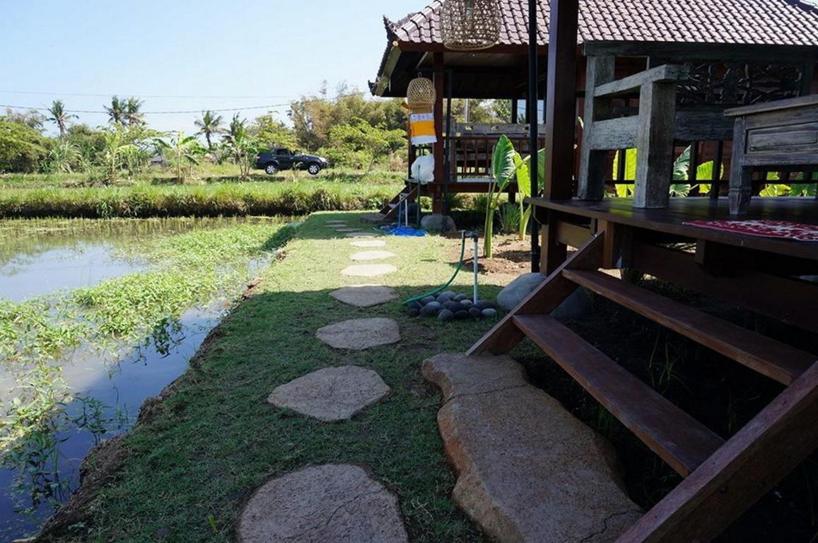Surf Camp Holiday park