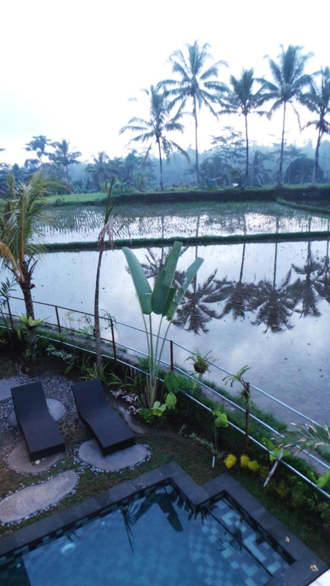 Kemuning Guest house Tegallalang (Bali)